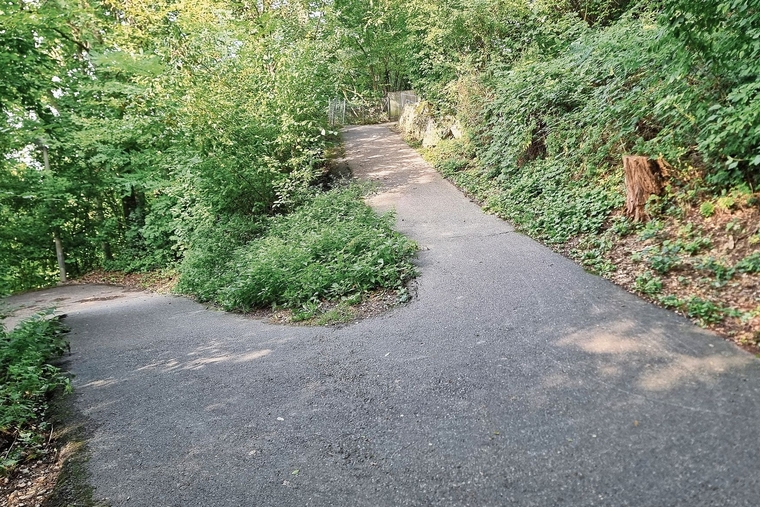 «Zickzackweg» oder auch «Serpentinenweg»: Das Weglein führt durch den Wald und weist einige holprige Stellen auf. Es soll nun beleuchtet und saniert werden. Foto: Fabia Maieroni