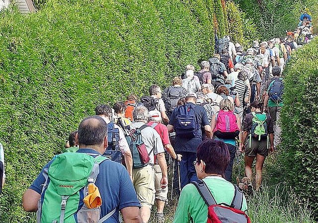 Das «Pièce de Résistance»: Der Aufstieg nach Blauen. Fotos: Roland Bürki

