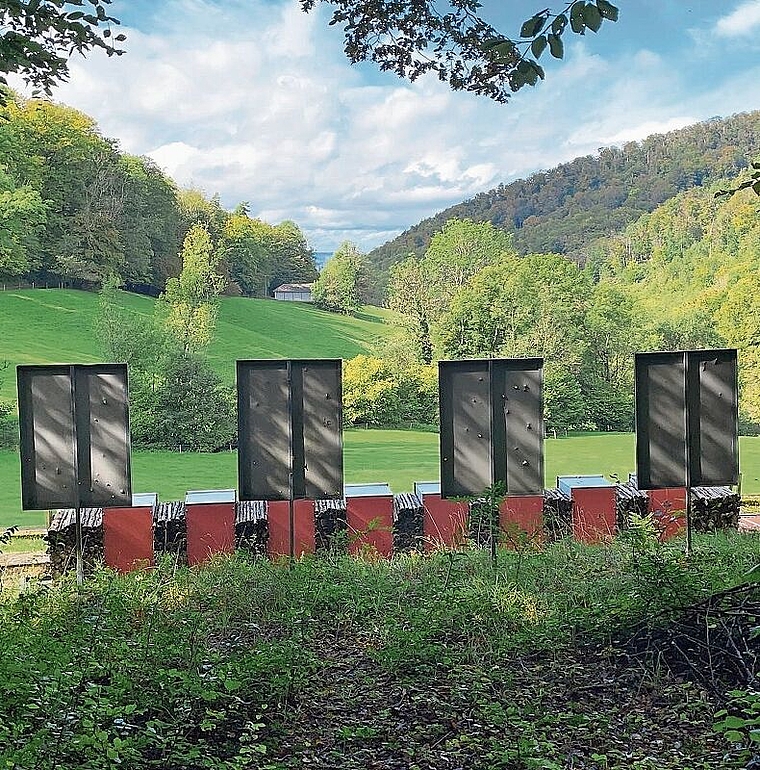 Schiessanlage Gobenmatt: Das Domizil des Traditionsvereins liegt im Naturschutz- und Erholungsgebiet. Foto: Bea Asper