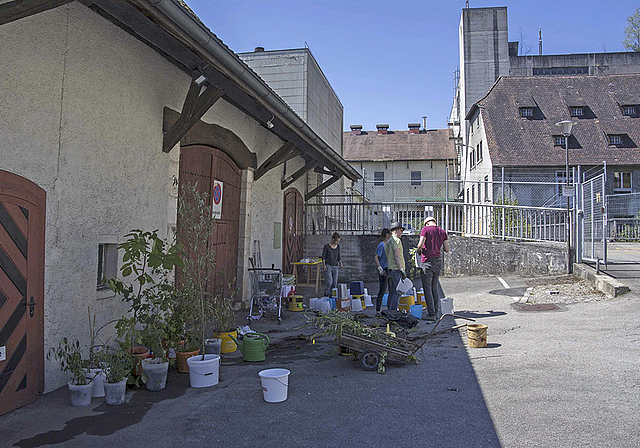 Letzte Vorbereitungen: Pflanzeninstallation von Rahel Hegnauer.  Foto: ZVG
