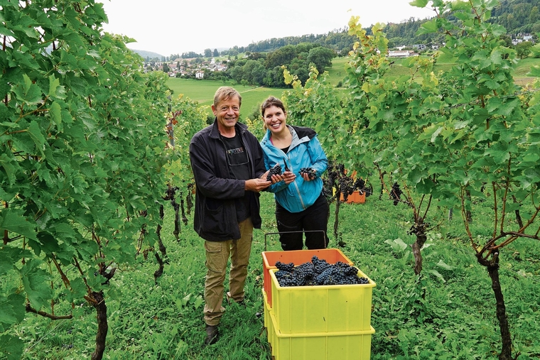 Zufriedene Gesichter bei der Ernte: Winzer Antoine Kaufmann, Vizepräsident der Weinbaugenossenschaft Aeschund Inhaber von Klus 177, mit der Lernenden Cindy Schmidlin.Foto: Tobias Gfeller
