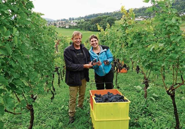 Zufriedene Gesichter bei der Ernte: Winzer Antoine Kaufmann, Vizepräsident der Weinbaugenossenschaft Aeschund Inhaber von Klus 177, mit der Lernenden Cindy Schmidlin.Foto: Tobias Gfeller