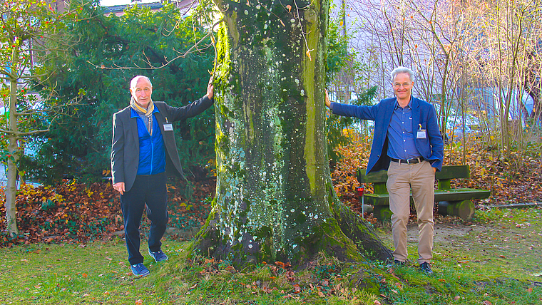 Verabschieden sich vom alten Baum: Philipp Schneider (l.), VR-Präsident, und Lukas Schöb, ärztlicher Leiter.  Foto: Tobias Gfeller