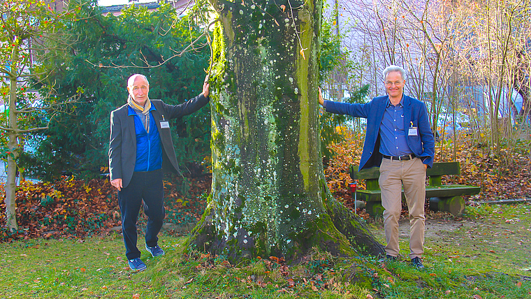 Verabschieden sich vom alten Baum: Philipp Schneider (l.), VR-Präsident, und Lukas Schöb, ärztlicher Leiter. Foto: Tobias Gfeller