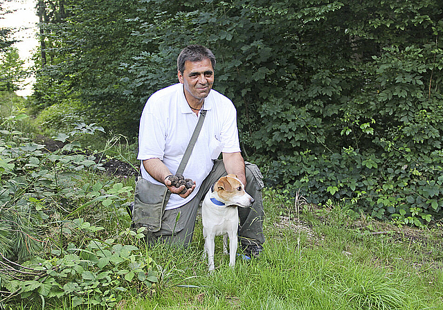 Reiche, schmackhafte Ausbeute: Zoran Martinovic und sein Trüffelhund Beli in einem Reinacher Waldstück – wo er genau fündig wurde, bleibt sein Geheimnis.  Foto: Michel Schultheiss