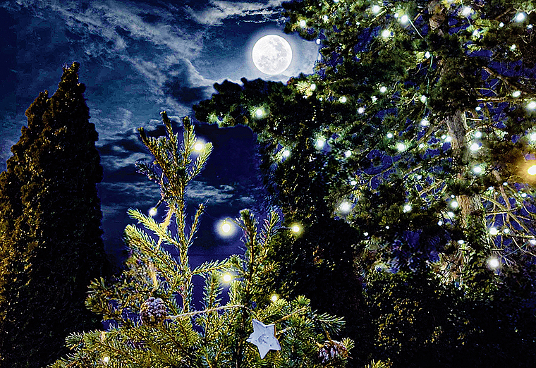 Foto: Martin Graf-Müller