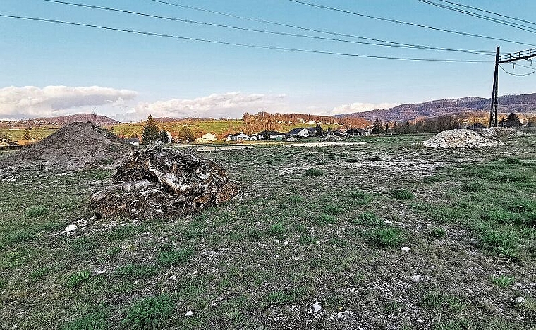 Spannende Vielfalt: Bei der «BKW Anlage» in Brislach wurde Raum für die Natur geschaffen. Foto: Melanie Brêchet