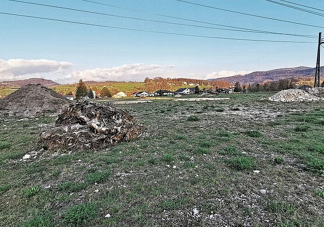 Spannende Vielfalt: Bei der «BKW Anlage» in Brislach wurde Raum für die Natur geschaffen. Foto: Melanie Brêchet