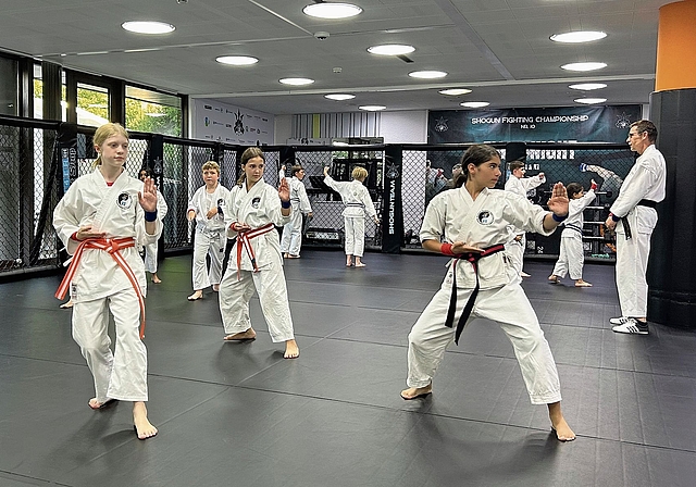 Voller Fokus auf die korrekte Ausführung: die Samurai Kids im Dojo in Aesch. Foto: Nicolas Blust