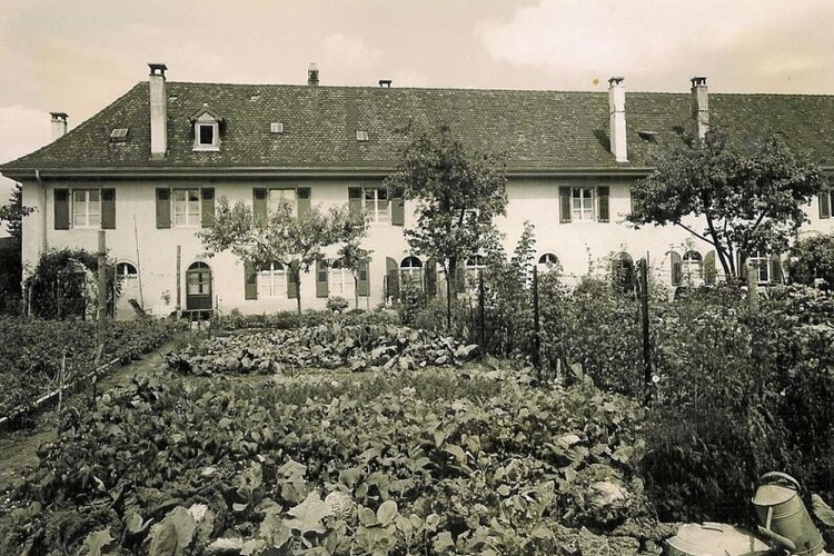 Gemüse im Garten vor dem Haus: der Badhof.