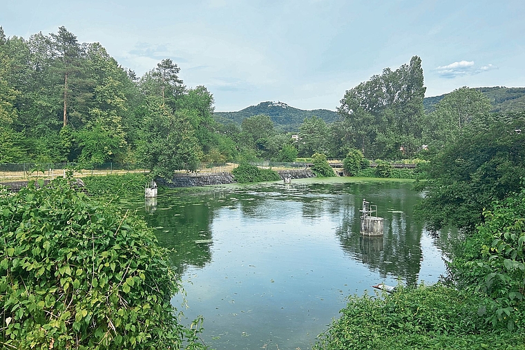 Versickerungsanlage: In Aesch wird das Grundwasser mit Birswasser angereichert. Foto: Nicolas Blust