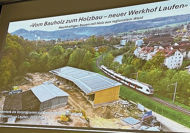 Vom Bauholz zum Holzbau: Der Film lässt sich von Youtube runterladen. Foto: Thomas Immoos