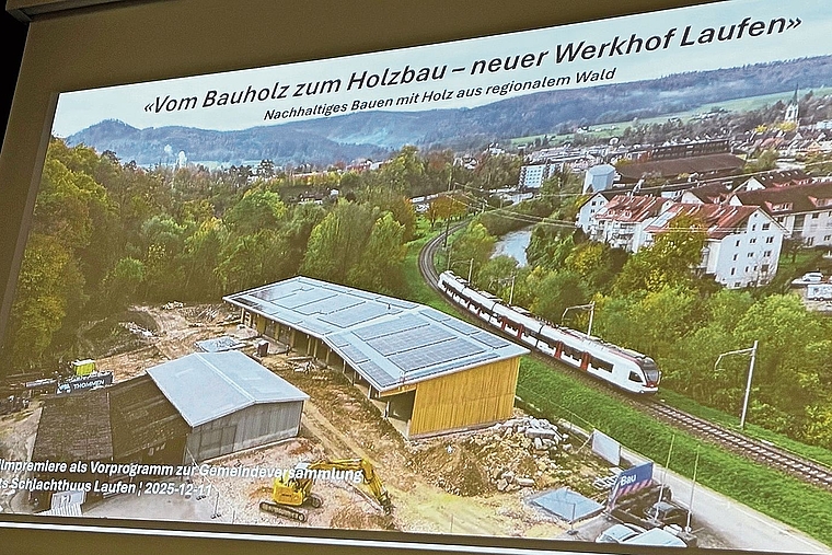 Vom Bauholz zum Holzbau: Der Film lässt sich von Youtube runterladen. Foto: Thomas Immoos