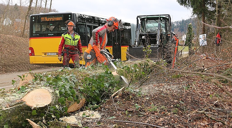 Hohe Kunst: Keinen Unfall machen und dennoch keine Sekunde verlieren. Foto: Gini Minonzio