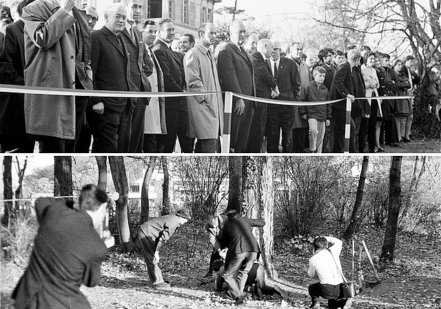 11. November 1969: Zaungäste vor der Villa Ehinger beobachten … wie der damalige Regierungsrat Paul Manz eine mächtige Föhre fällt und damit den Grundstein zum Bau des Gymnasium Münchensteins legt. Foto: ZVG/Vegym