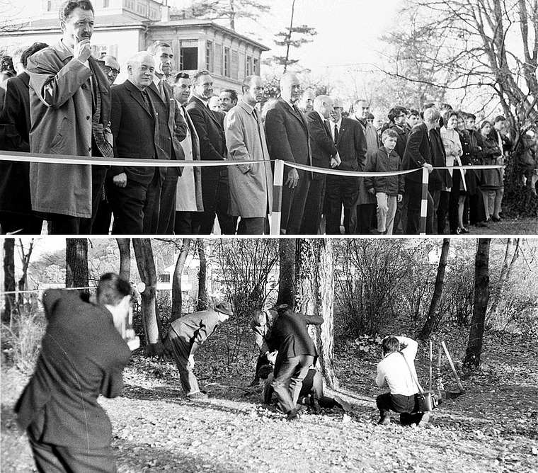11. November 1969: Zaungäste vor der Villa Ehinger beobachten … wie der damalige Regierungsrat Paul Manz eine mächtige Föhre fällt und damit den Grundstein zum Bau des Gymnasium Münchensteins legt. Foto: ZVG/Vegym