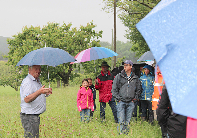 Im Hochstammgarten : Ueli Balzli (l.) erläuterte das einmalige Projekt «Obstbaulandschaft Schönmatt-Stollenhäusern».  Foto: Benildis Bentolila