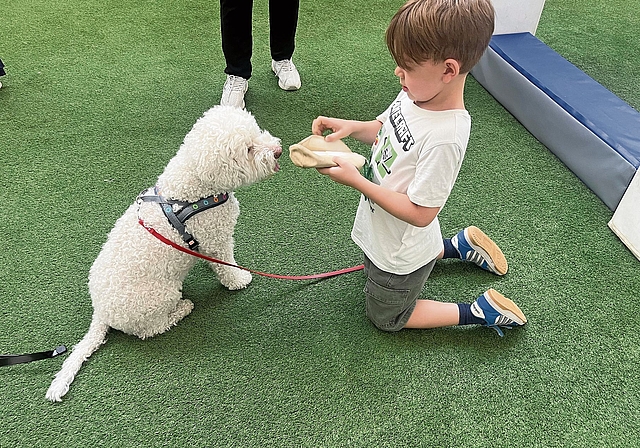 Sind schnell Freunde geworden: Therapiehündin Alba und Liam. Foto: Bea Asper