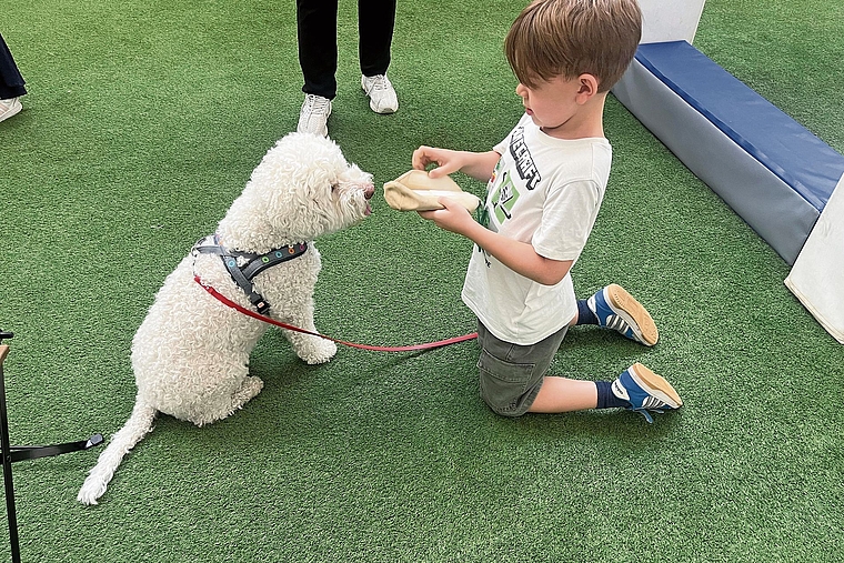 Sind schnell Freunde geworden: Therapiehündin Alba und Liam. Foto: Bea Asper
