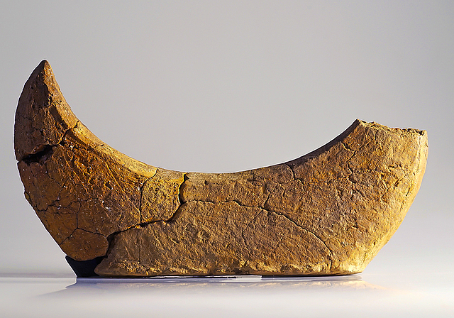 Spektakulär: Ein neu entdecktes, drei Kilogramm schweres Mondhorn aus Ton passt zur Theorie einer epochenübergreifenden Kultstätte im Gebiet Mausacker.  Foto: Archäologie Baselland, Nicole Gebhard