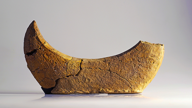 Spektakulär: Ein neu entdecktes, drei Kilogramm schweres Mondhorn aus Ton passt zur Theorie einer epochenübergreifenden Kultstätte im Gebiet Mausacker. Foto: Archäologie Baselland, Nicole Gebhard