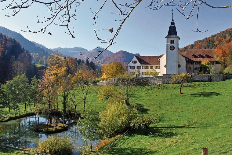 Unklare Zukunft: Die Stiftung Beinwil hat ihre Auflösung beschlossen.  Foto: ZVG/Reinhard Hänggi