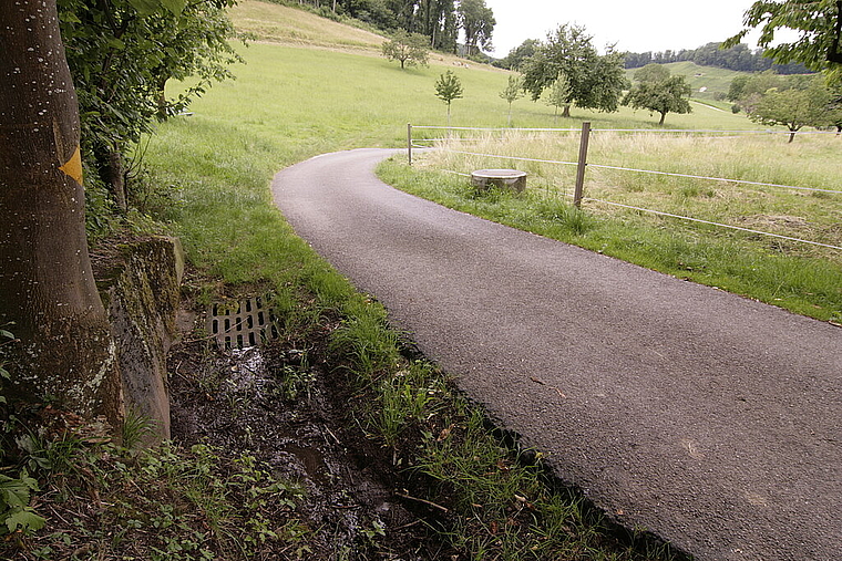Der Leimattbach soll ausgedolt werden: Die betroffenen Landeigentümer sind damit nicht einverstanden. Foto: Lukas Hausendorf