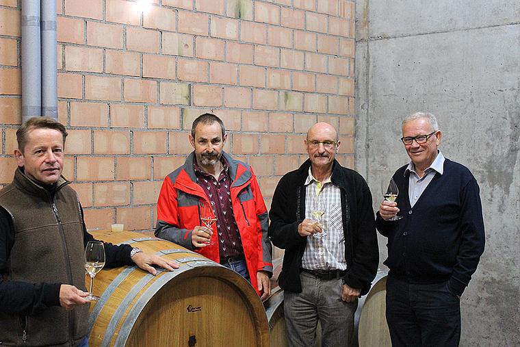 Wenig Ertrag, aber wenigstens gute Qualität: Rebwärter Ulrich Bänninger, Andreas Buser vom landwirtschaftlichen Zentrum Ebenrain und Paul Leisi, Präsident des Verbandes der Weinproduzenten Region Basel-Solothurn (v. l.). Foto: Caspar Reimer