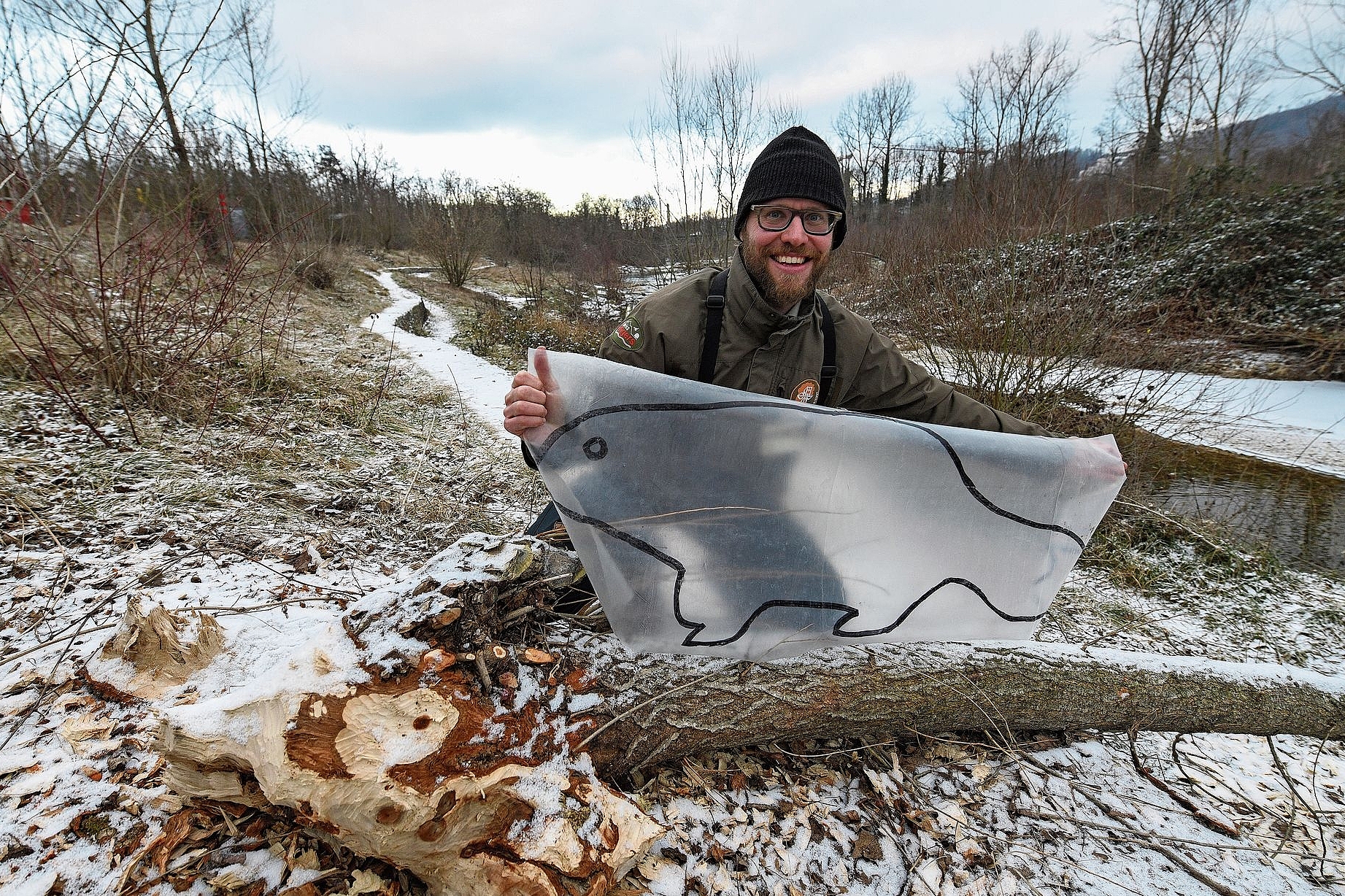 Biberspuren: Ranger Yannick Bucher zeigt einen angenagten Baum. Foto: Juri Junkov