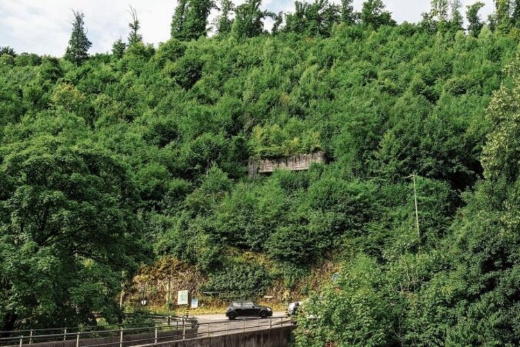 Unten die Strasse, oben der Wald, der vor Steinschlag schützt: Bei Angenstein wird der Wald entsprechend gepflegt.