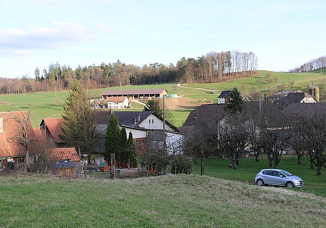 Niederhuggerwald: Hier muss sich bis jetzt noch jeder selbst um sein Abwasser kümmern. Foto: Gini Minonzio