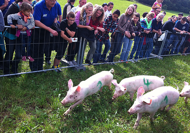 Säulirennen: Am Roggenburger Dorffest ging in jeder Beziehung die Post ab.