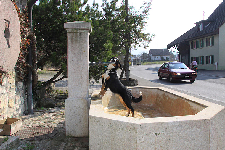 Toter Brunnen: Da kann Izmir noch lange in die Röhre gucken. Es kommt kein Wasser. Foto: Gini Minonzio