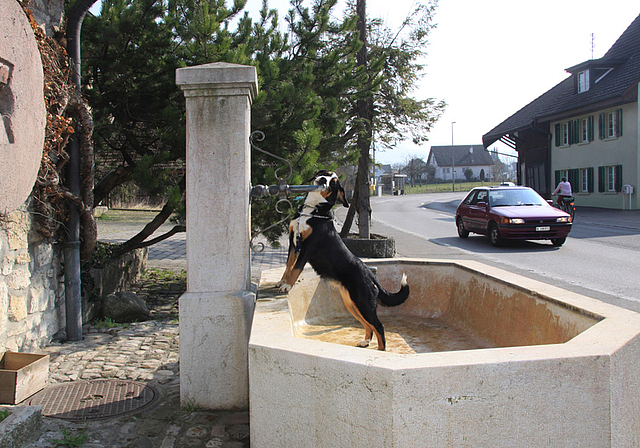Toter Brunnen: Da kann Izmir noch lange in die Röhre gucken. Es kommt kein Wasser.   Foto: Gini Minonzio