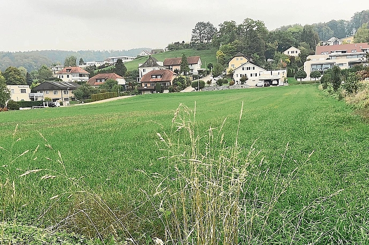 Pläne der Mietbaugenossenschaft Basel: Die Wiese im Kreuzacker soll überbaut werden. Foto: Bea Asper