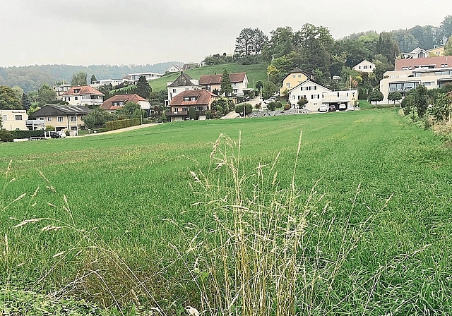 Pläne der Mietbaugenossenschaft Basel: Die Wiese im Kreuzacker soll überbaut werden. Foto: Bea Asper