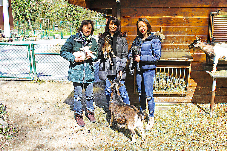 Strahlende Gesichter: Therese Stalder, Sarah Falchi und Viola Stalder (v. l.) mit ihren neugeborenen Schützlingen auf dem Arm. Foto: Axel Mannigel
