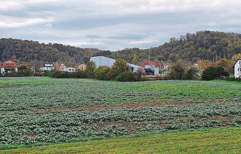 Noch ist es ein Acker: aber die Fläche soll überbaut werden. Foto: Fabia Maieroni / zvg Noch ist es ein Acker: aber die Fläche soll überbaut werden. Foto: Fabia Maieroni / zvg