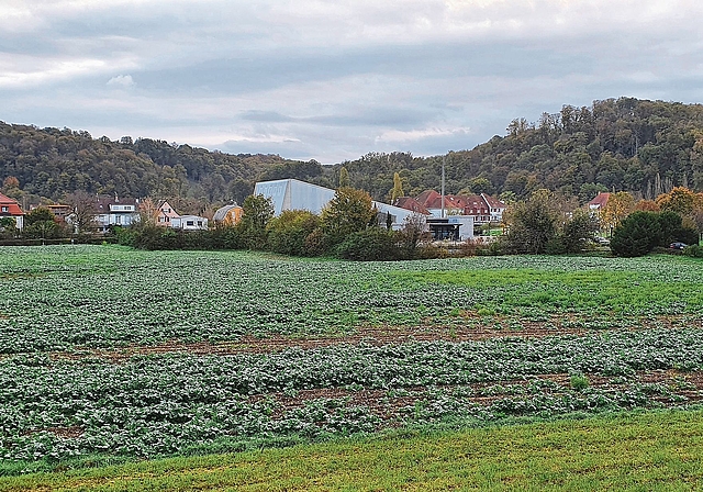 Noch ist es ein Acker: aber die Fläche soll überbaut werden. Foto: Fabia Maieroni / zvg