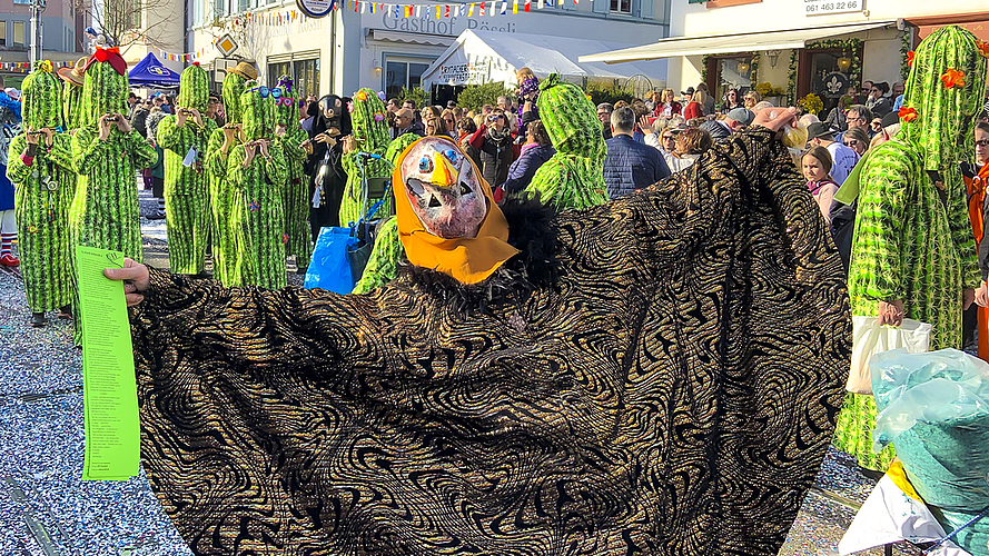 Kakteen im Anmarsch: Die Reinacher Clique Die Zämmegwirflete widmete sich unter dem Motto «S wird wüescht-i» dem Thema Klimawandel. Auf dem Rücken trugen die Fasnächtler erhitzte Thermometer.  Fotos: Caspar Reimer
