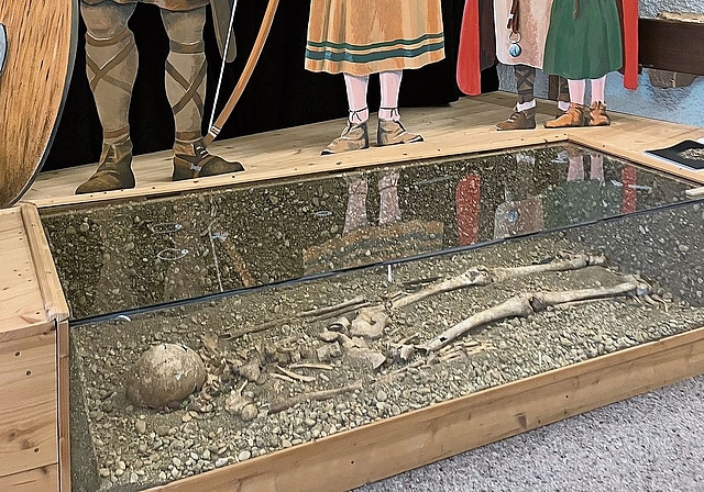 Aus der Zeit der Christianisierung: das ausgestellte Skelett im Heimatmuseum in Aesch.Foto: Désirée bellwald