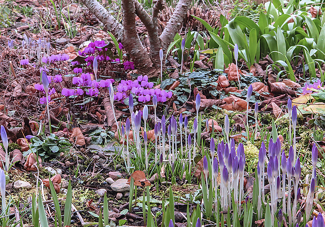Im Frühling Blumen, im Sommer dann Gemüse.

