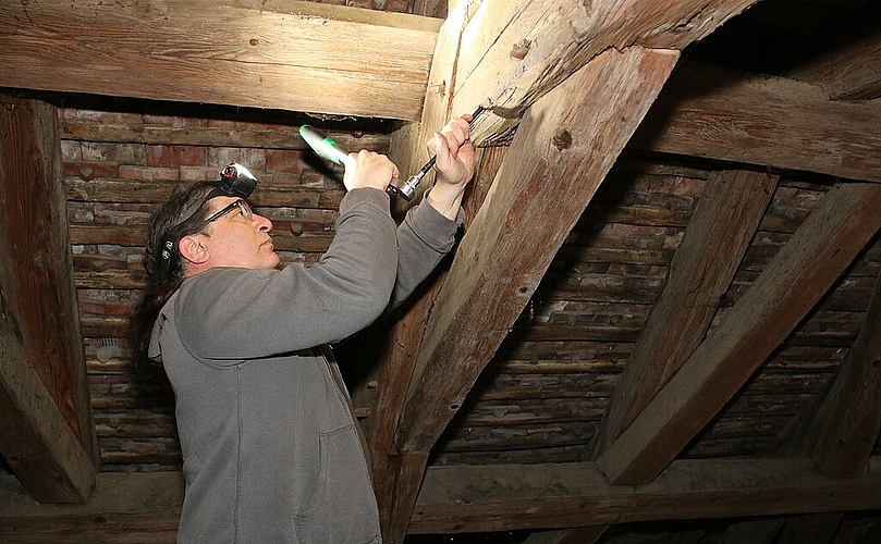 Altersbestimmung: Raymond Kontic nimmt Holzproben. Foto: Gini Minonzio
