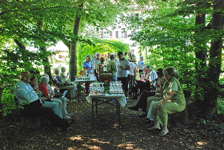 Es ist aufgetischt: Die «Freunde des Klosters» geniessen den Klosterwein in der Baumkathedrale. Foto: Thomas Brunnschweiler