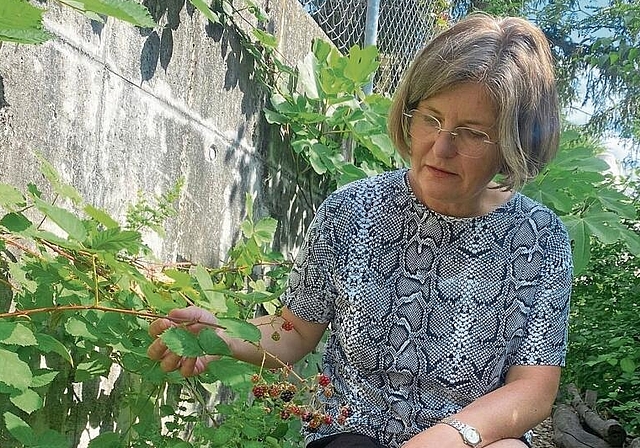 Saisonal, lokal: Claudia Niederhauser begutachtet die Beeren in ihrem Garten.Foto: zvg