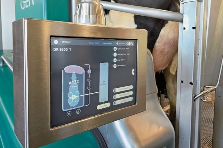Technischer Helfer: Der Melkroboter kontrolliert die Eutergesundheit oder meldet,
wenn eine Kuh weniger Milch gibt.