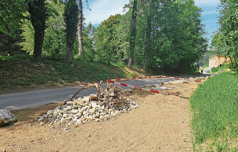 Lebensraum: Auf Freiflächen zwischen Schwimmbad und neuem Werkhof entstehen Amphibienlaichgewässer. Lebensraum: Auf Freiflächen zwischen Schwimmbad und neuem Werkhof entstehen Amphibienlaichgewässer.