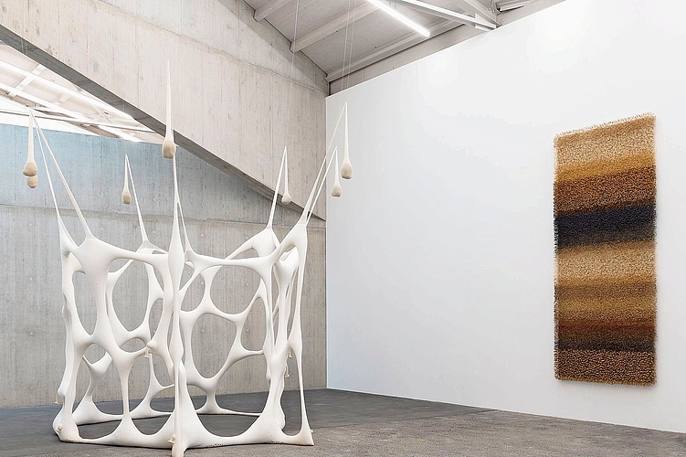 Von Brasilien nach Basel: Ein hängendes Gewebe von Ernesto Neto trifft auf einen Pflanzenbild von Maya Rikli.Fotos: Kunsthaus Baselland / Gina Folly Von Brasilien nach Basel: Ein hängendes Gewebe von Ernesto Neto trifft auf einen Pflanzenbild von Maya Rikli.Fotos: Kunsthaus Baselland / Gina Folly