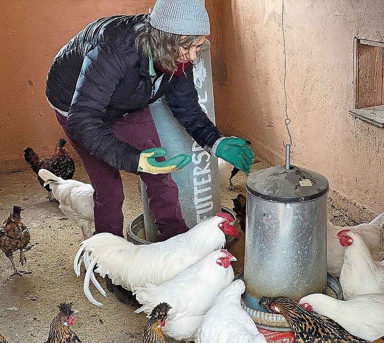 Im Hühnerstall: Das Wohlbefinden der Hühner und gutes Futter tragen massgeblich zur Qualität der Eier bei.Foto: Marianne Vetter