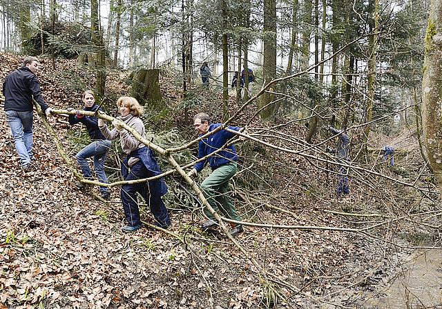 Arbeit in der Natur: Gemeinsam können auch grössere Baumteile zu den Asthaufen geschleppt werden.  Foto: Heiner Leuthardt